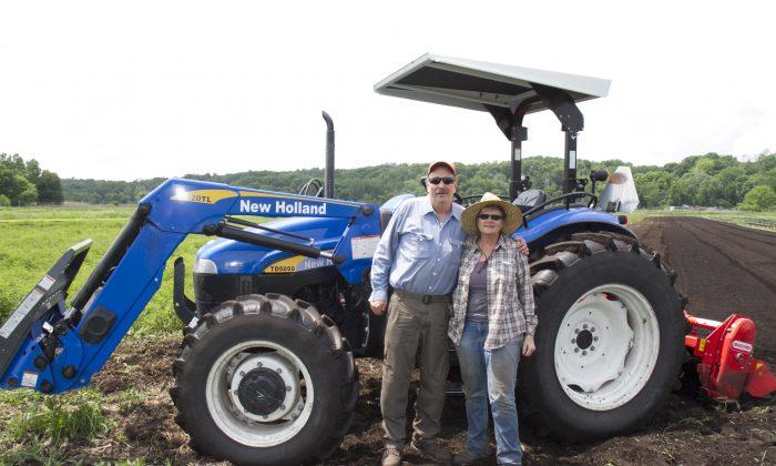 Wallkill Organic Farmer Aims High, Grows for Amy’s