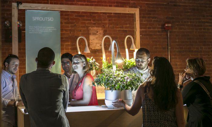 Innovation Event Highlights Intersections Between Food and Technology