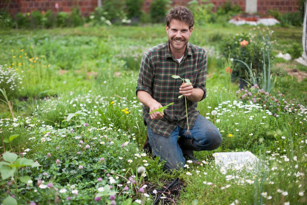 The American Dinner Plate Is Getting Greener