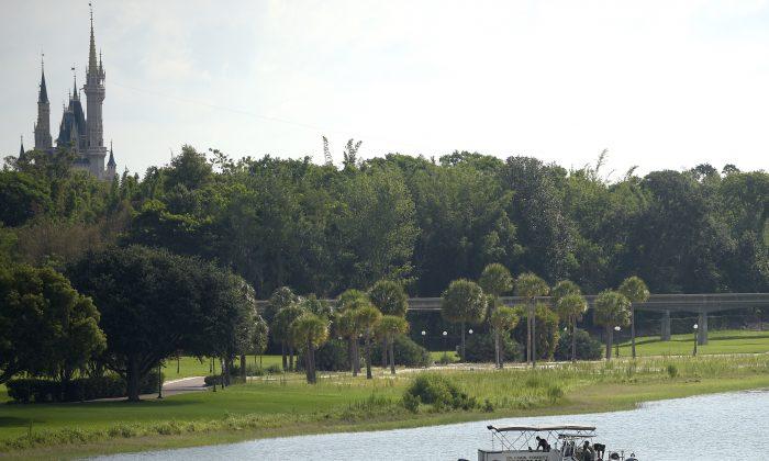 Witness Calls 911 After Boy Dragged in Disney Alligator Attack