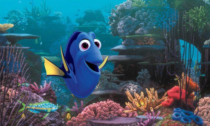 ‘Finding Dory’ Catches On at Box Office With Record $136M Weekend for Animated Movie