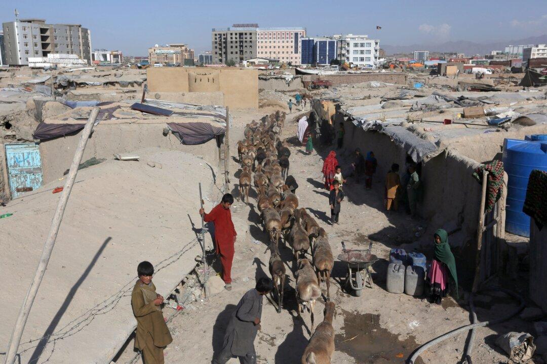 UN Says 65 Million People Displaced in 2015, a New Record