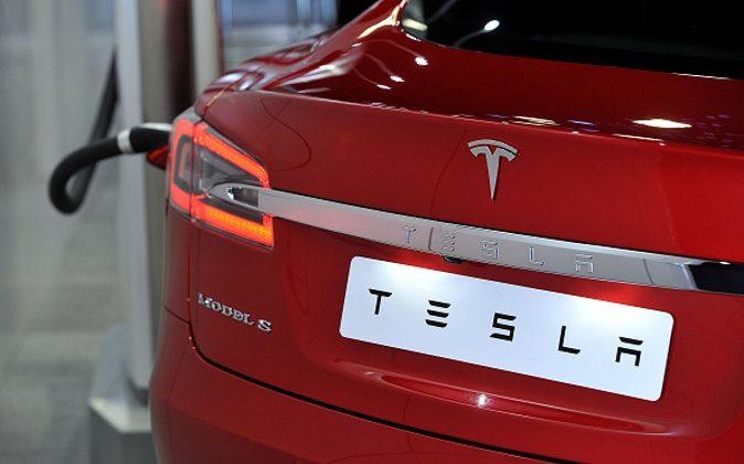Driver Dies as Tesla Slams Into Tree in Central Dutch Town