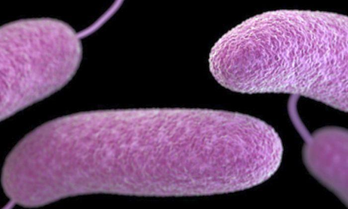 2 Texas Men Infected With Flesh-Eating Bacteria