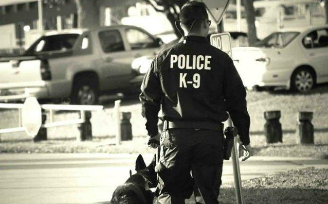 Police Officer Writes Touching Letter to His K-9 He Just Put Down