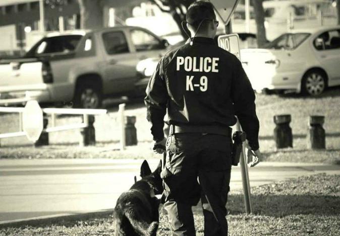 Police Officer Writes Touching Letter to His K-9 He Just Put Down