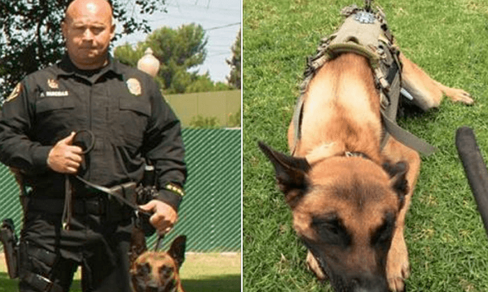 Police K-9 Killed in Southern California Standoff