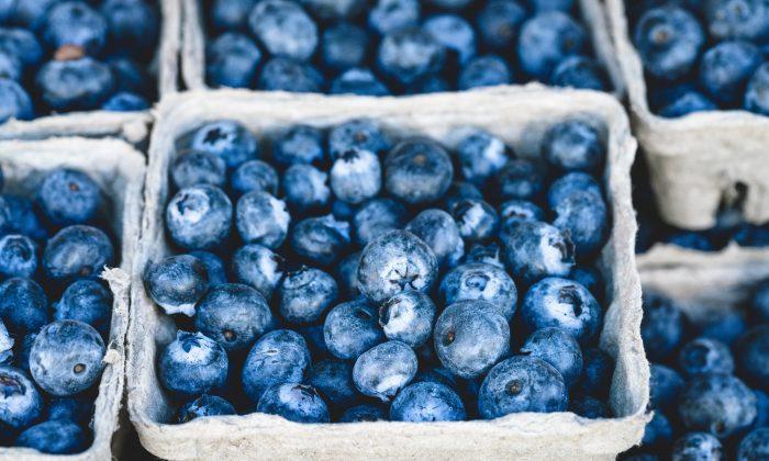 Canadian Blueberries No Threat to U.S. Producers, Embassy Tells Trade Commission