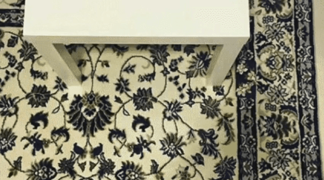 Internet Puzzle Solvers Struggle to Find Phone on Rug (Video)