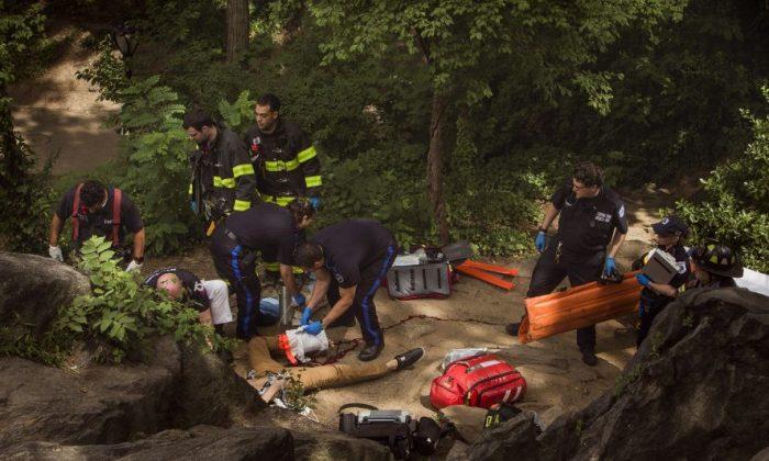 Police Say Common Substances Were Found in Central Park Explosive Device