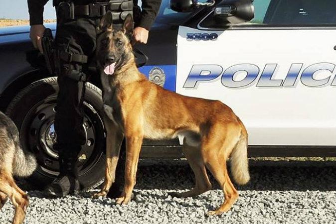 Police K-9 Dies After Vehicle Air Conditioner Fails