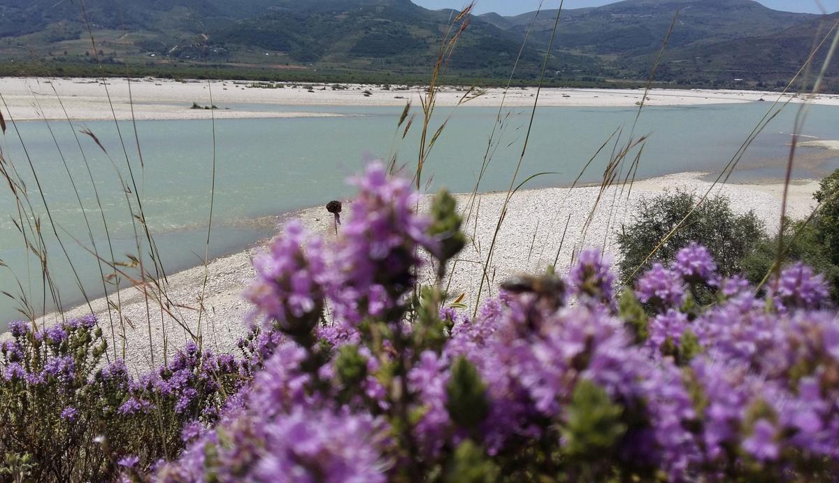 Uproar as Albania to Dam Europe's 'Wildest River'