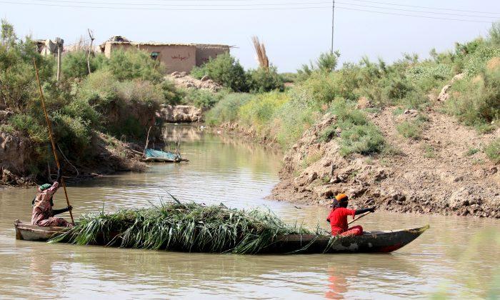 Iraq marshlands named UNESCO world heritage site