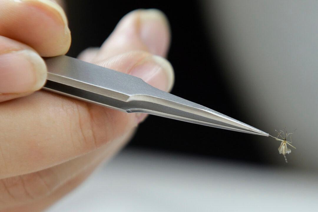 Zika Investigations Eating up Funds, Florida Officials Say