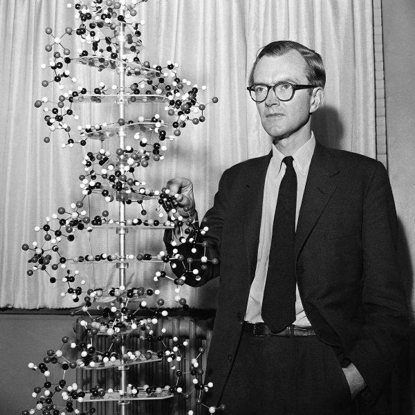 Dr. Maurice Hugh Frederick Wilkins, 46, of Greenwich, England, stands with a model of a DNA molecule during a news conference in the New York office of the Sloan-Kettering Institute for Cancer Research on Oct. 18, 1962. (Anthony Camerano/AP Photo)