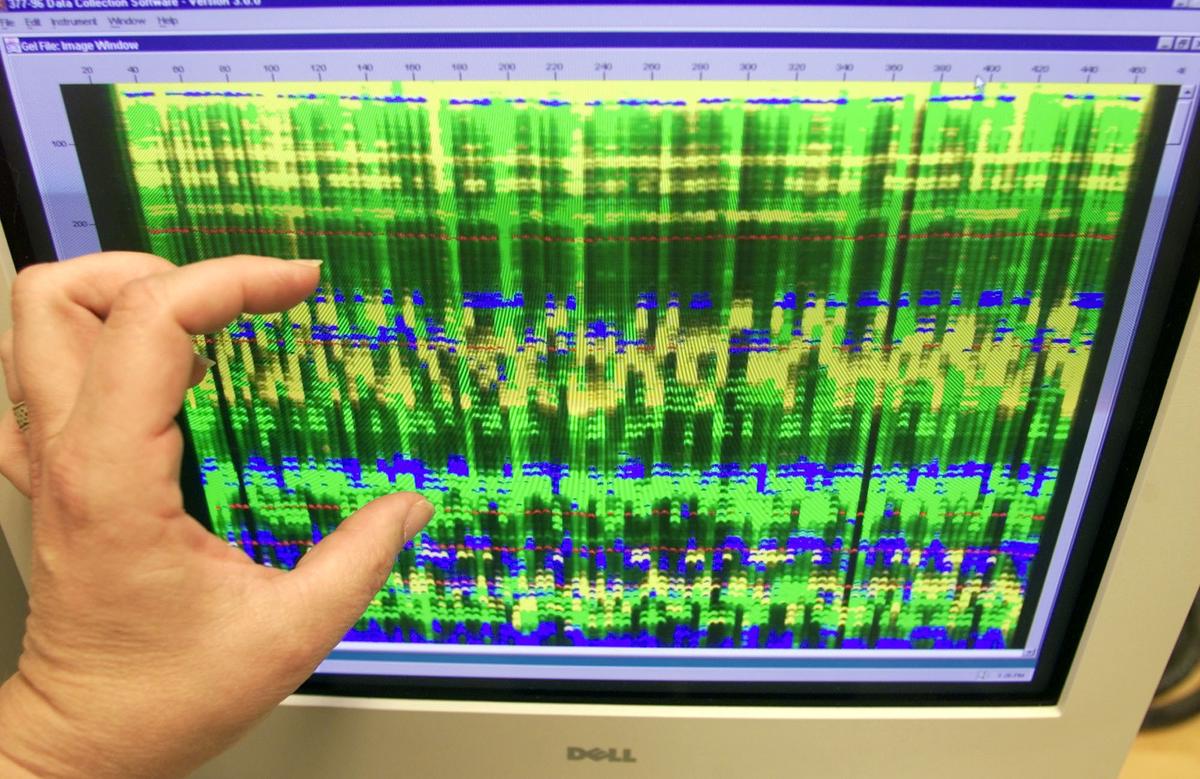 Scientists Work Toward Storing Digital Information in DNA