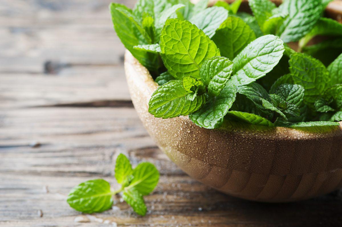 Peppermint is one of about 25 varieties of mint. (Oxana Denezhkina/Shutterstock)