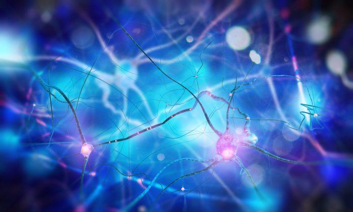 New Map Splits Brain’s Cortex Into 180 Regions