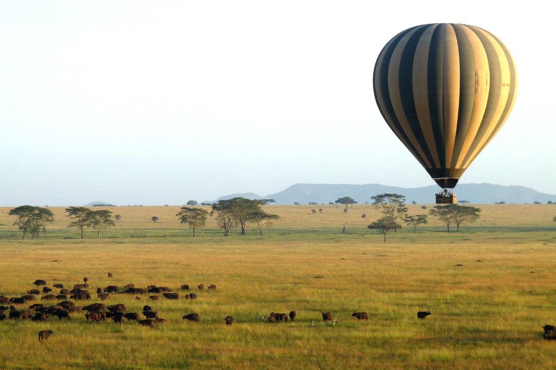 An Unforgettable Tanzanian Safari