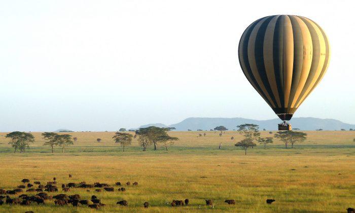 An Unforgettable Tanzanian Safari