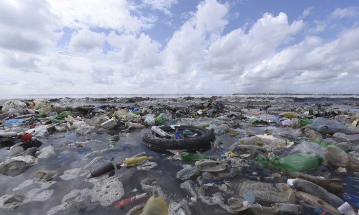 How Tiny Pieces of Plastic in Our Oceans Are ‘Terrifying’