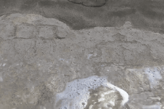 Beam of Sunglight Leads Tourists to Ancient Petroglyphs Hidden on a Hawaiian Beach (Video)