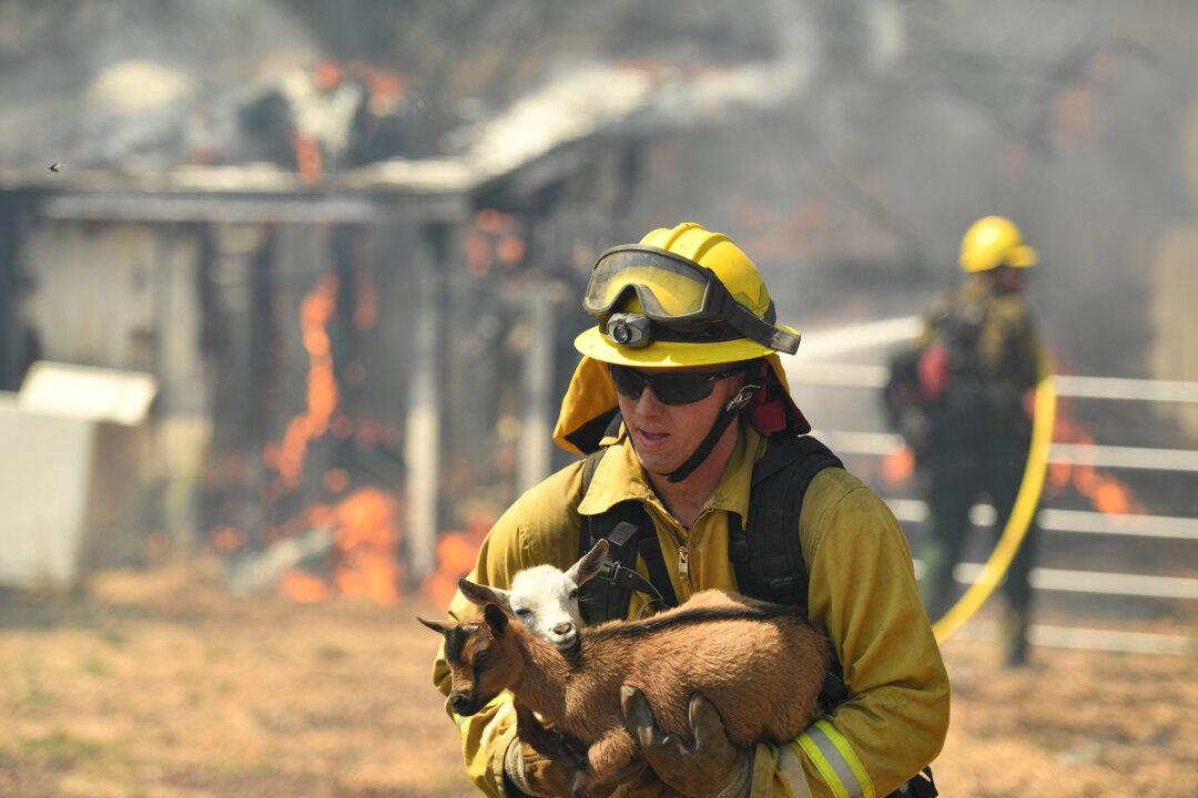 Northern California Wildfire Forces 4,000 to Evacuate