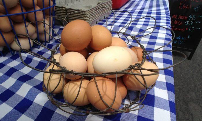 Are Eggs Good or Bad for You? New Research Rekindles Debate