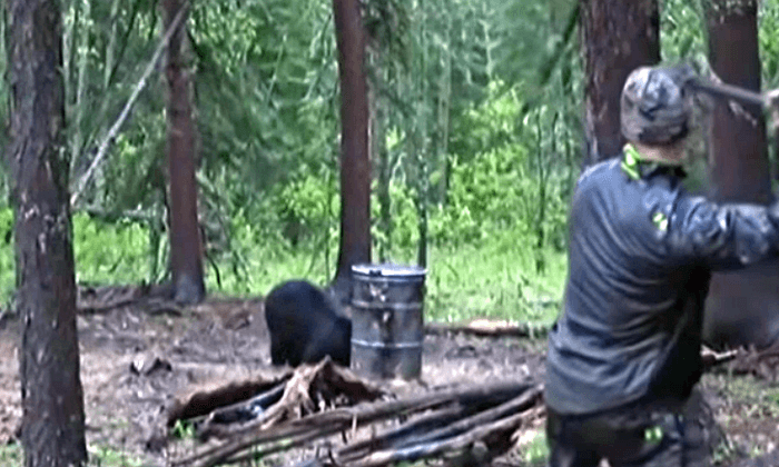 Alberta to Ban Spear Hunting After Bear-Hunting Video Sparks Outrage