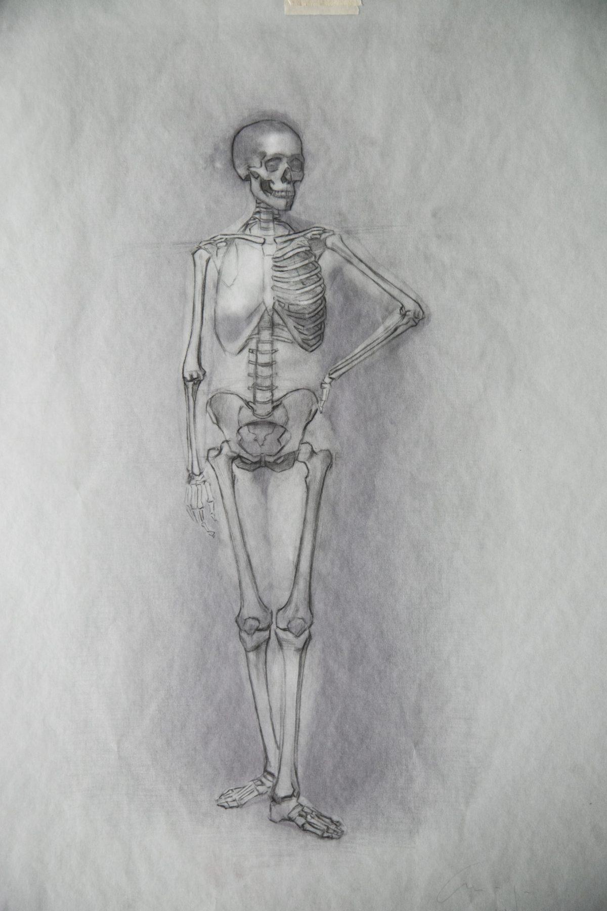 Anatomy skeleton sketch by Amaya Gurpide. (Samira Bouaou/Epoch Times)