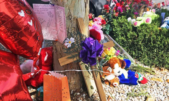 Gruesome Killing of New Mexico Girl Stuns Friends, Neighbors