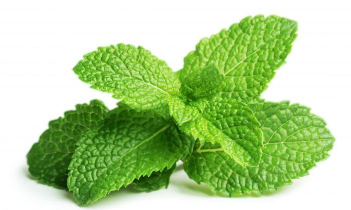 Chill Out and Soothe Pain with Mint