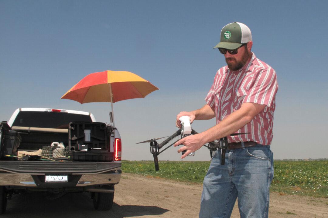 Drones Help California Farmers Beat the Drought