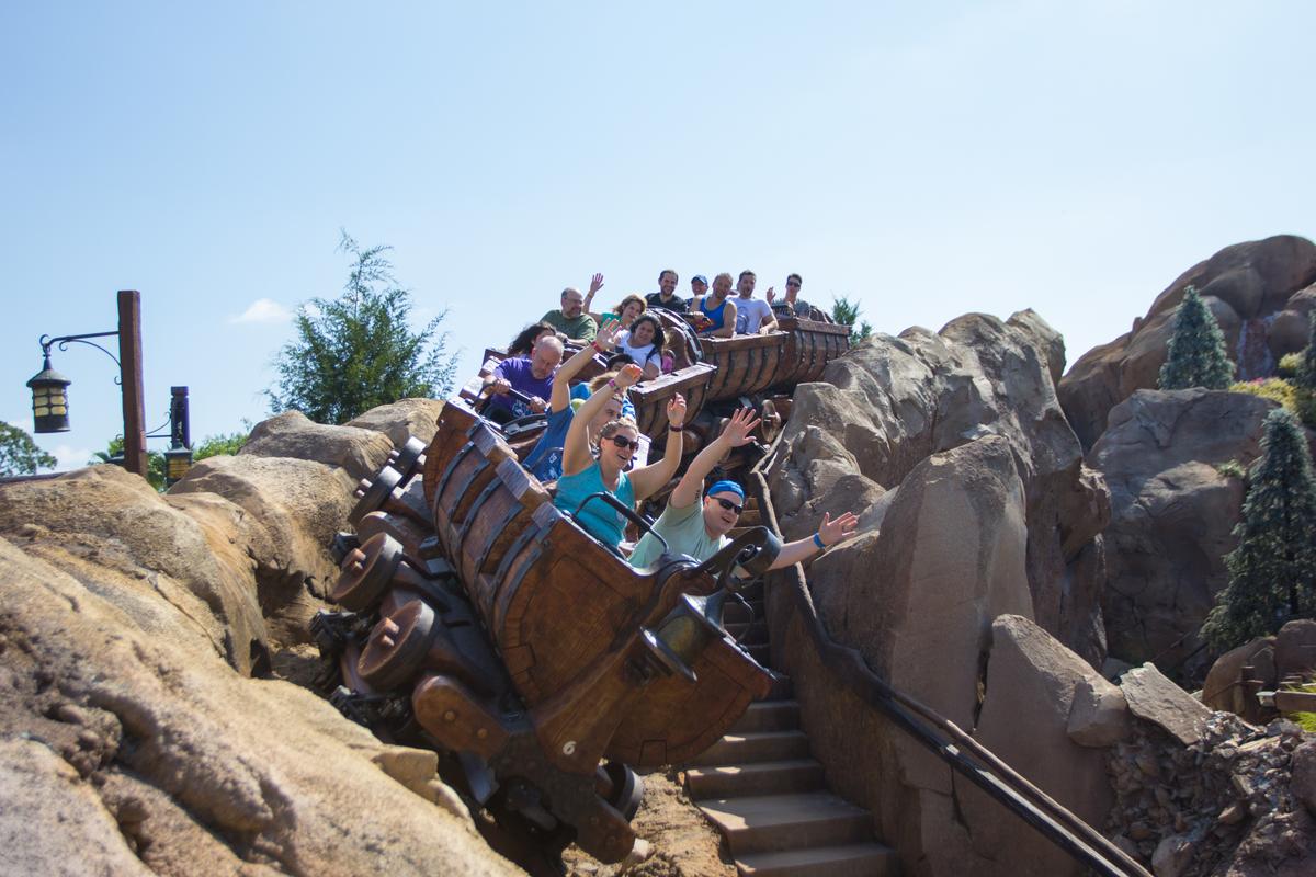 Roller Coasters Can Jostle out Kidney Stones