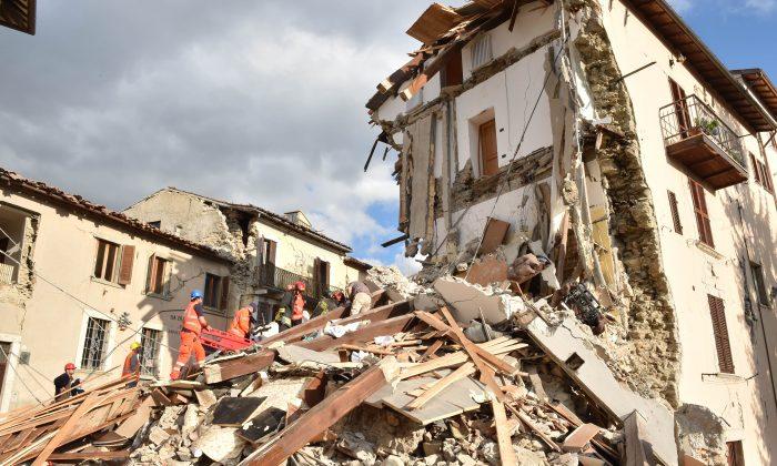 Barking Dog Found Alive in Rubble 9 Days After Italy’s Quake
