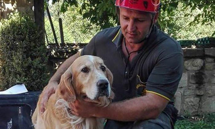 Barking Dog Found Alive in Rubble Nine Days After Italy Earthquake