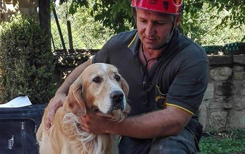 Barking Dog Found Alive in Rubble Nine Days After Italy Earthquake