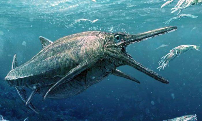 164-Million-Year-Old Jurassic ‘Sea Monster’ Revealed in Scotland