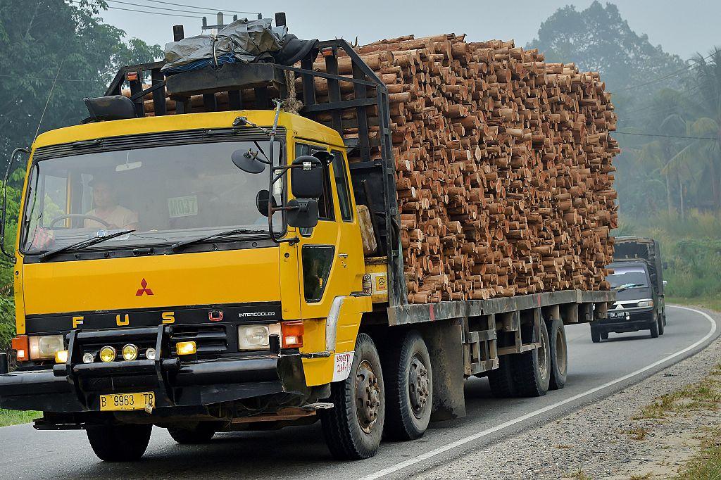 A truck carries acacia wood for pulp in Pelalawan, Riau Province, on Indonesia's Sumatra island, on Sept. 16, 2015. (Adek Berry/AFP/Getty Images)