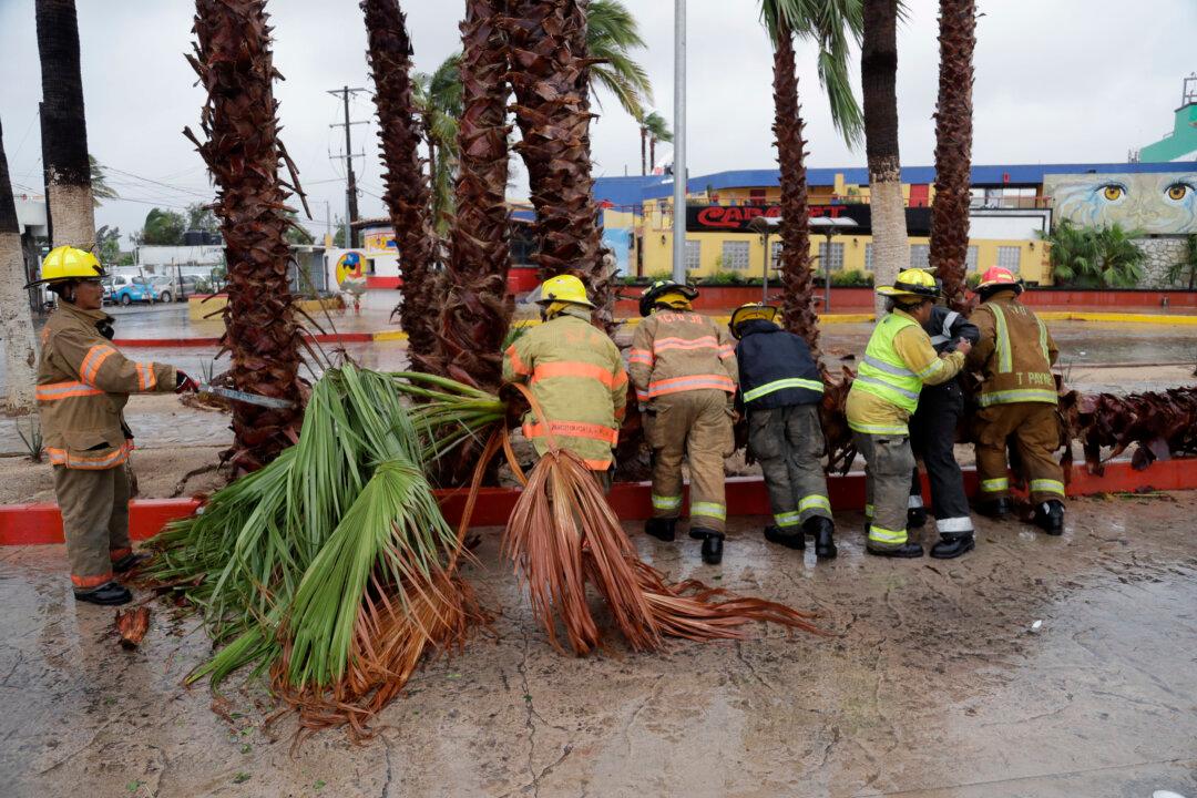 Newton on Path Toward Mexico’s Border With Arizona