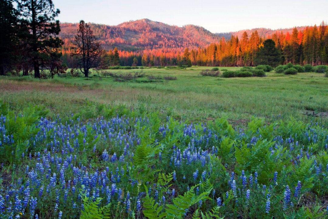 400 Acres Donated to Yosemite National Park