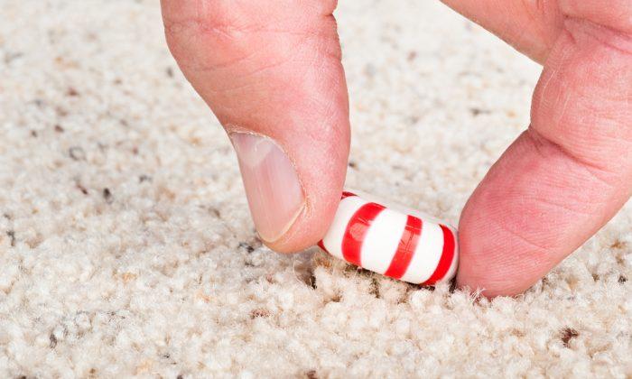 The Five-Second Rule Isn’t So Simple
