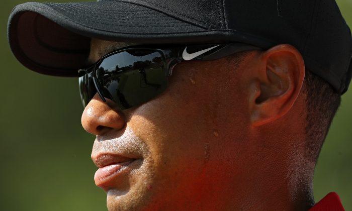 How Much Tiger Is Left in the Tank ?