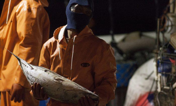 Hawaiian Seafood Caught by Foreign Crews Confined on Boats