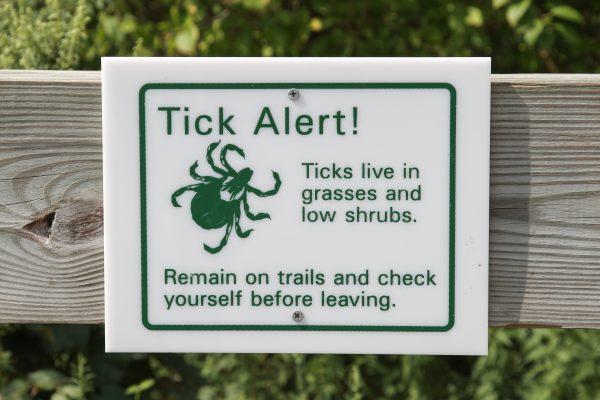 Don't get tick bites, and don't have sex with someone who has Lyme. It's also sexually transmitted just like syphilis is. It's also transferred by other biting insects. People have told me they've developed [bulls eye] rashes from mosquitos, horseflies, and sand fleas. (Kyle Besler/Shutterstock)