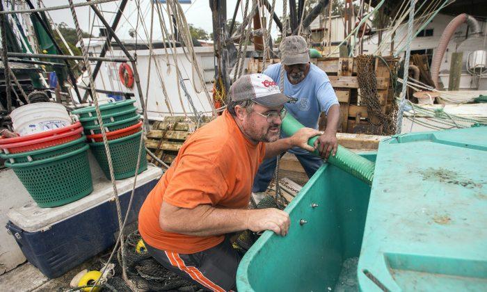 Gulf Coast Seafood Biz Slammed by Freshwater From Floods