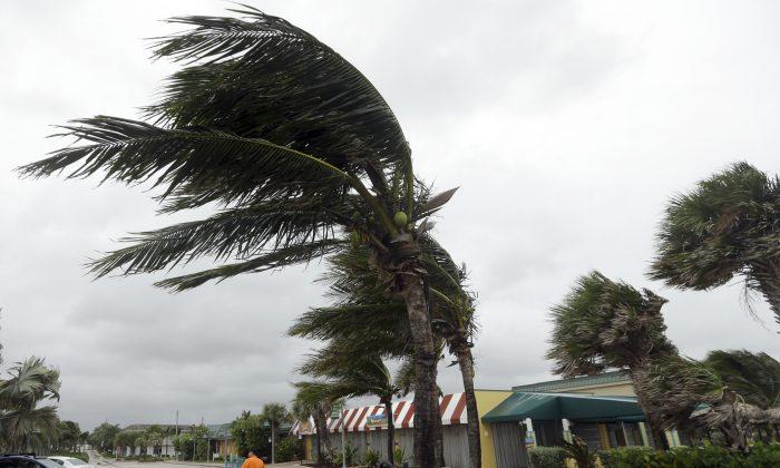 Hurricane Sideswipes Florida Coast
