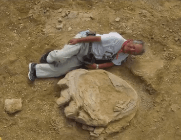 One of the Largest Known Dinosaur Footprints Found in the Gobi Desert (Video)