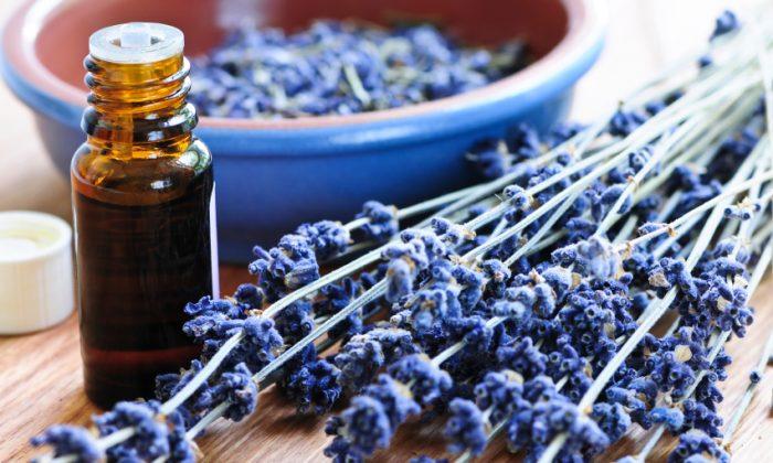 4 Essential Oils to Stock Up on in Your Home
