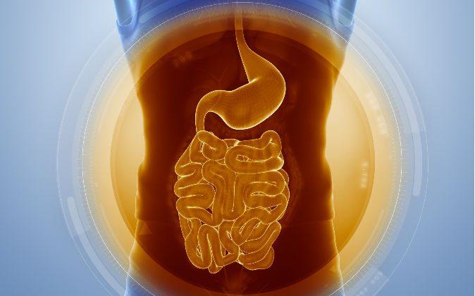 Gut Feeling: How Your Microbiota Affects Your Mood, Sleep, and Stress Levels